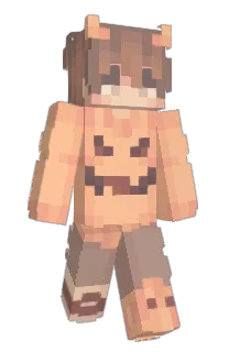 Front of ishard's skin