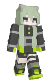 Skin preview