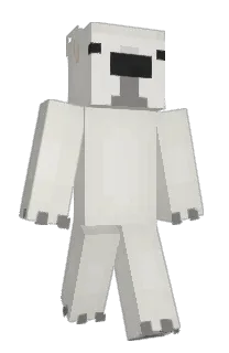 Front of TTOYY's skin