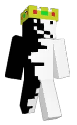 Minecraft skin — Classic model