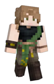 Front of BenbleBee's skin