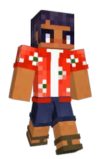 Front of AA5HA's skin