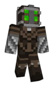 Skin preview