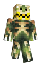 Skin preview