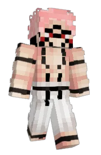Front of dqzk's skin