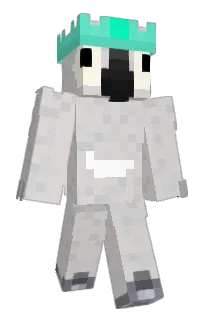 Front of Cubedddd's skin
