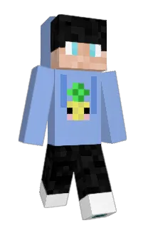 Front of Minecraft skin