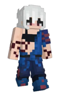 Front of zJonny's skin