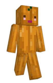 Front of DiddlyDawg's skin