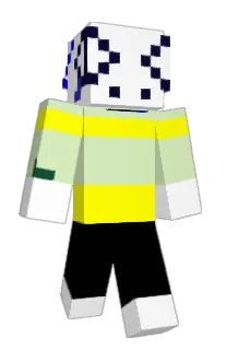 Front of JoePork's skin