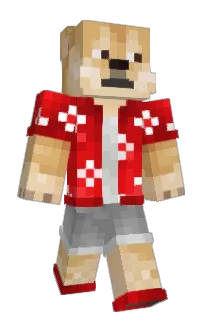 Front of Benjaminvtk's skin