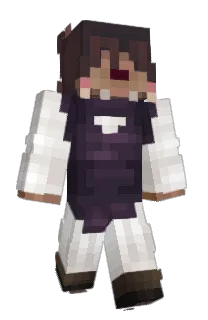 mender17's Minecraft skin