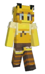 Back of Minecraft skin