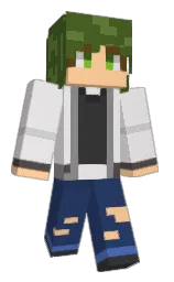 Minecraft skin — Classic model
