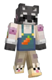Skin preview