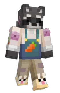 Front of Traabe's skin