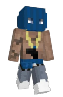 flockerr's Minecraft skin