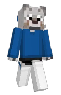 Front of anonpony's skin