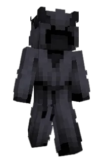 Front of J6's skin