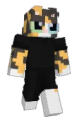 Clunstin