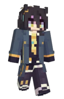 Front of copyshark's skin