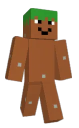 paarl and black Minecraft skin — Classic model — first worn by Minecraftputten_