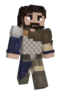 9AMER Minecraft avatar full body
