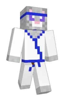 9BlockinqU2KFC Minecraft avatar full body