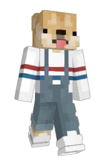 9JN Minecraft avatar full body