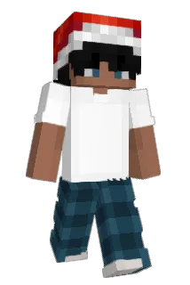 9Kubus Minecraft avatar full body