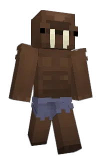 Front of hayydn333's skin