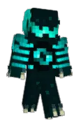 TurgiFR