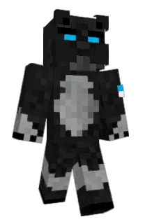 Front of Puma6's skin