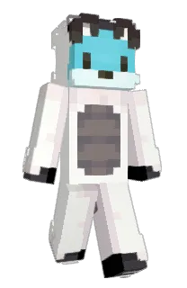 Front of pravilisjak's skin