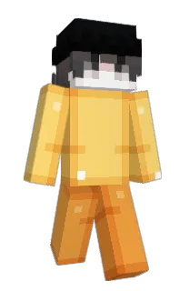 Front of piemos's skin