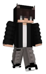Minecraft skin — Classic model