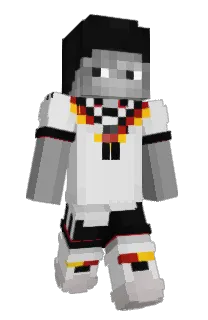 Front of NQEL's skin
