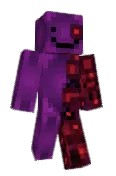 Swinxx