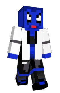 Front of Ansks's skin
