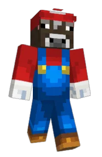 Front of bravVenn's skin