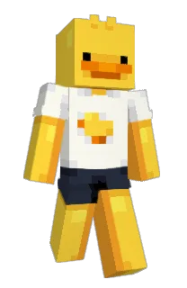 Front of Heeloz's skin