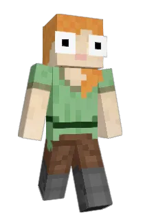Front of someguys's skin