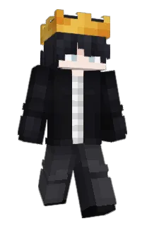 Front of BWDD's skin