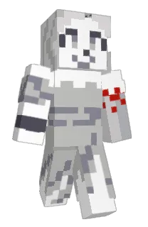Front of Paciphage's skin