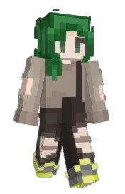 Skin preview