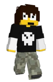 Skin preview