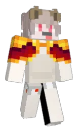 Minecraft skin — Classic model