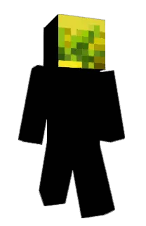 Front of Mine_Skin's skin