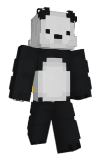 Front of Desteba's skin