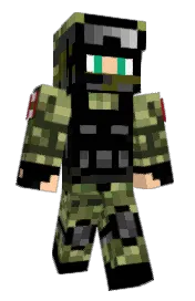 Skin preview